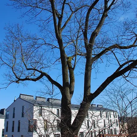 Apartmán Krivules *